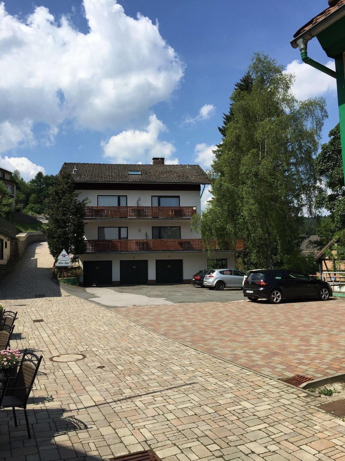Landhotel Alte Aue Altenau (Lower-Saxony) Exterior foto